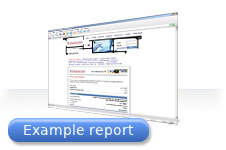 Example report